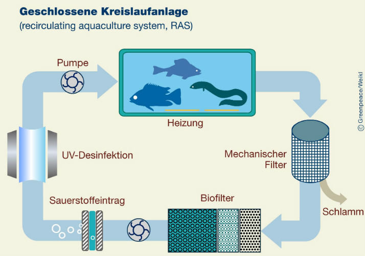Aquakultur Geschlossene Kreislaufanlagen